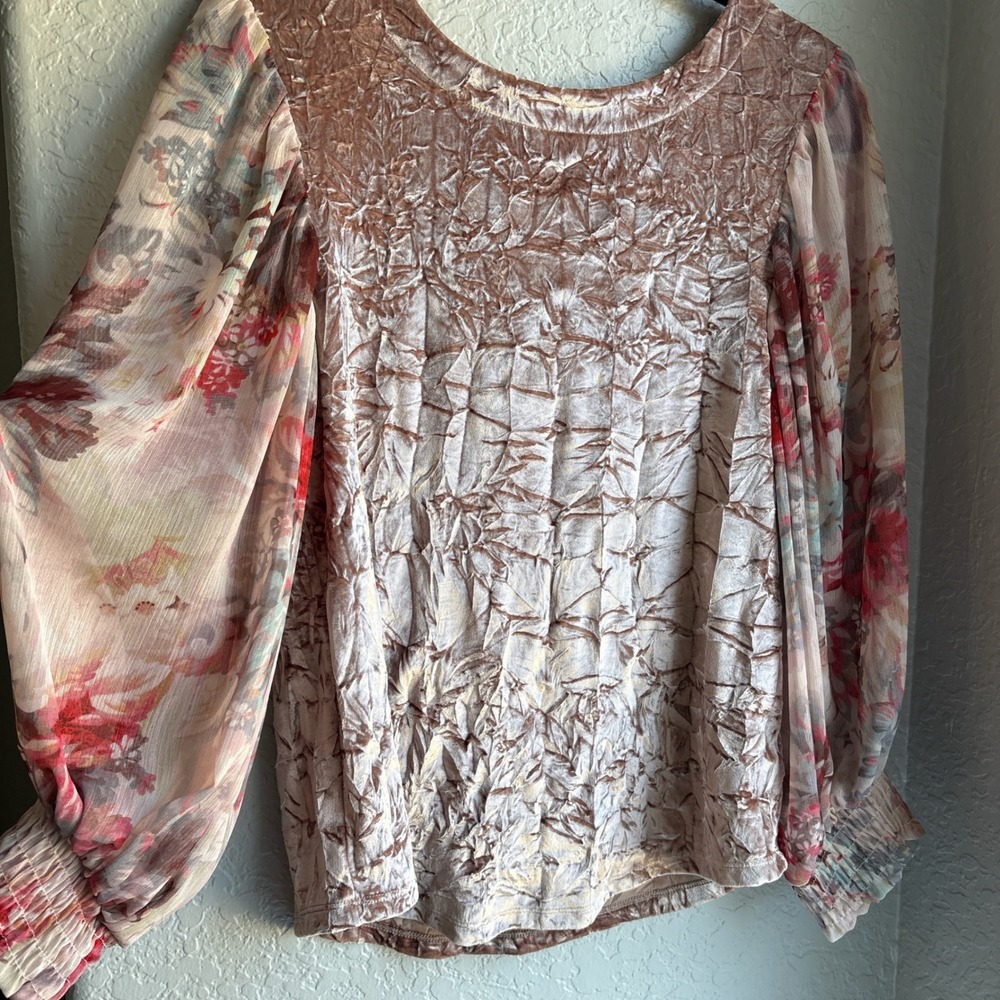 Meadow Rue Anthropologie XS Blouse Pink Velvet Floral Sheer Balloon Sleeve Chic - Picture 2 of 10